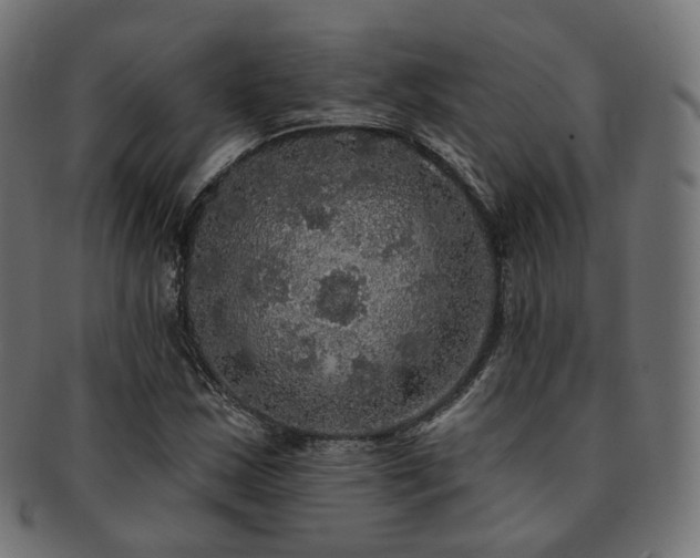 X0000093131163200709261342