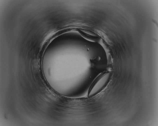 X0000093131164200709261342