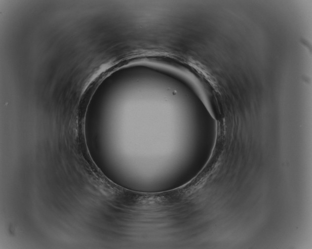 X0000093131165200709261342