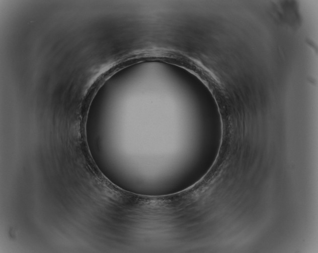 X0000093131166200709261342