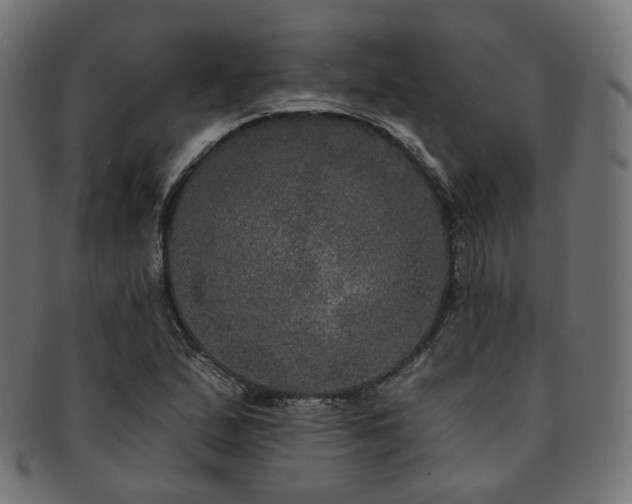 X0000093131167200709261342