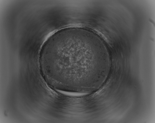 X0000093131168200709261342