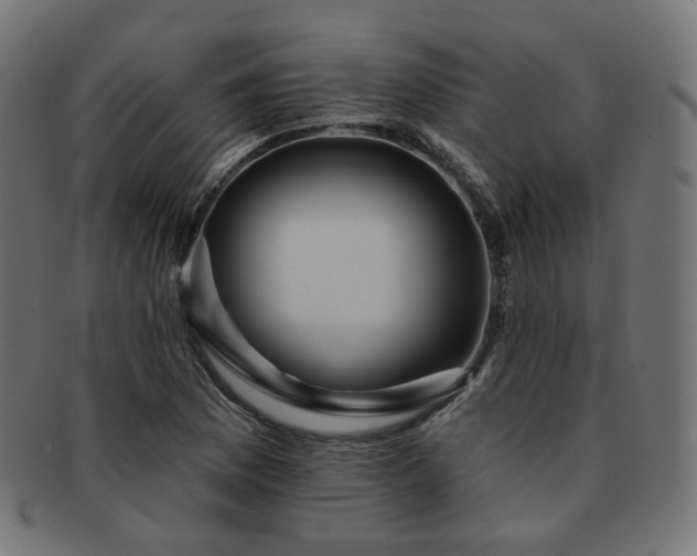 X0000093131169200709261342