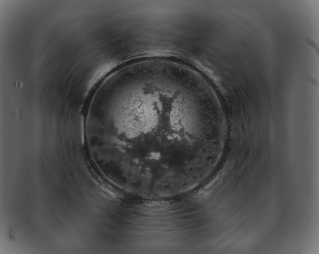 X0000093131171200709261342
