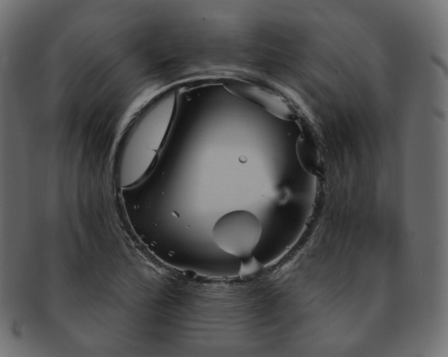 X0000093131172200709261342