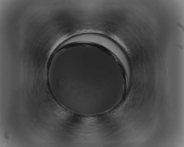 X0000093131173200709261342