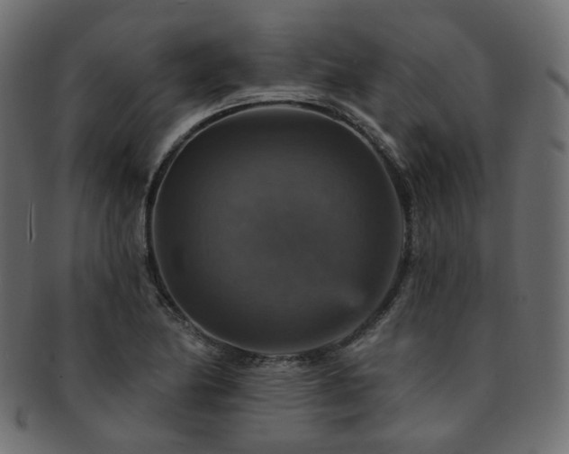 X0000093131174200709261342