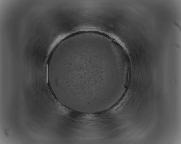 X0000093131175200709261342
