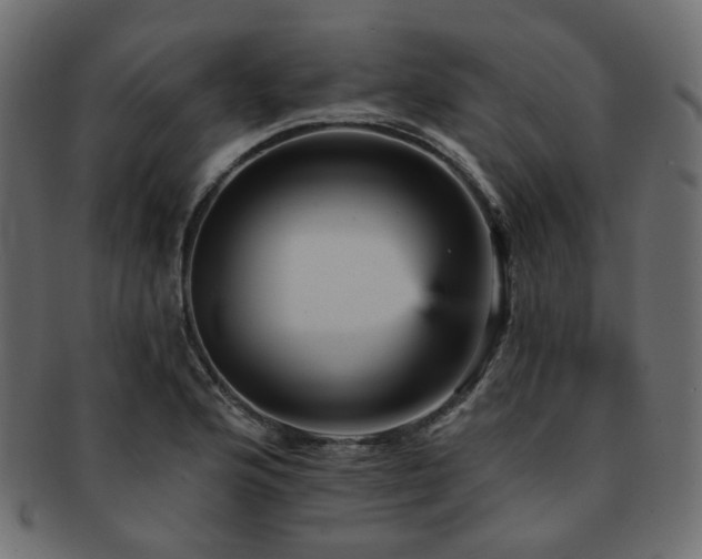 X0000093131176200709261342