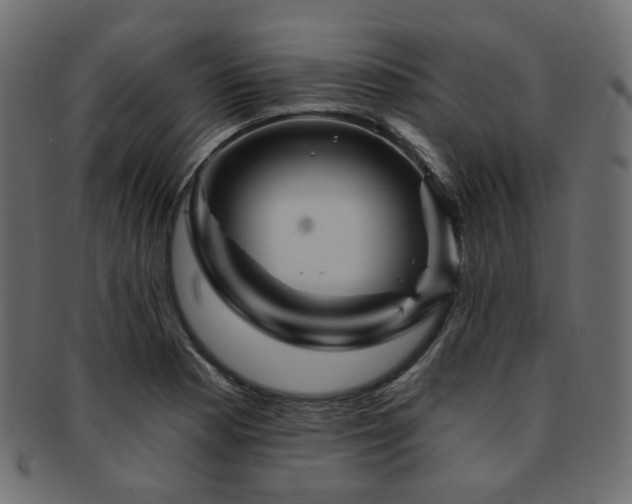 X0000093131177200709261342