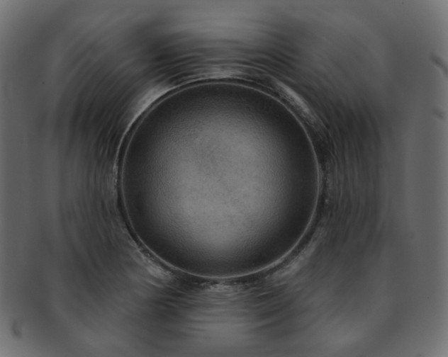 X0000093131178200709261341