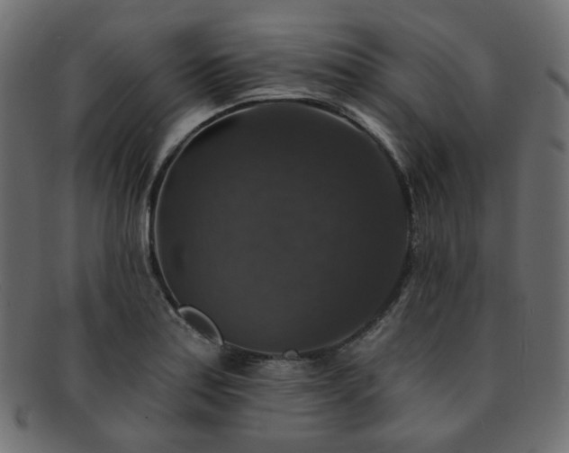 X0000093131179200709261341