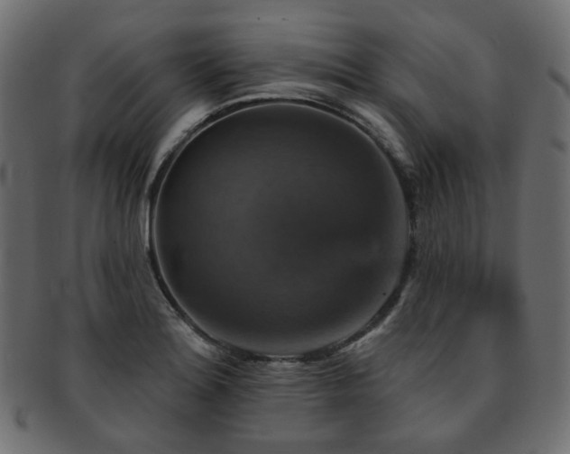 X0000093131180200709261341