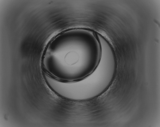 X0000093131181200709261341