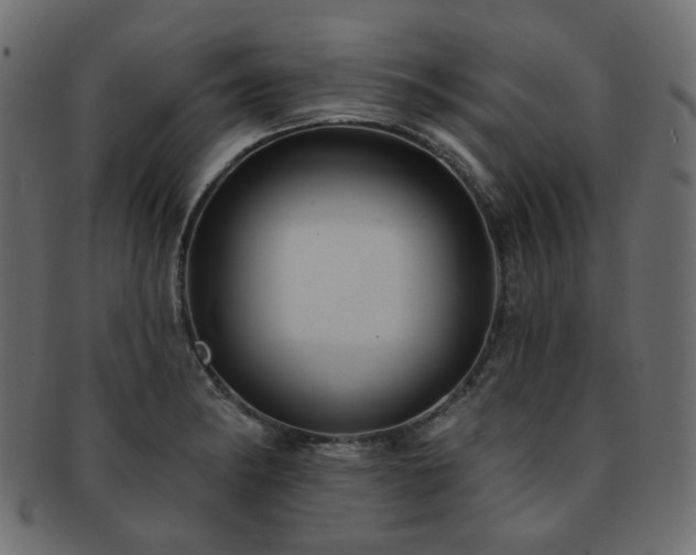 X0000093131182200709261341