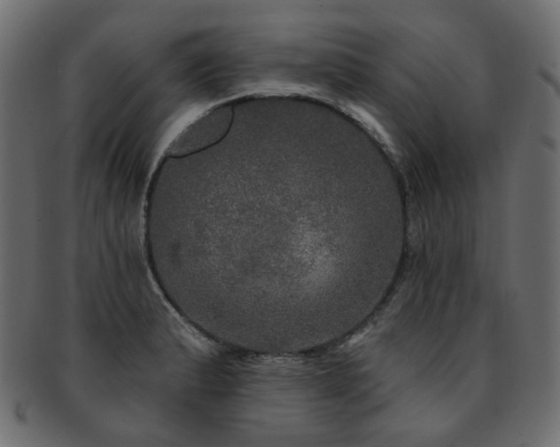 X0000093131183200709261341