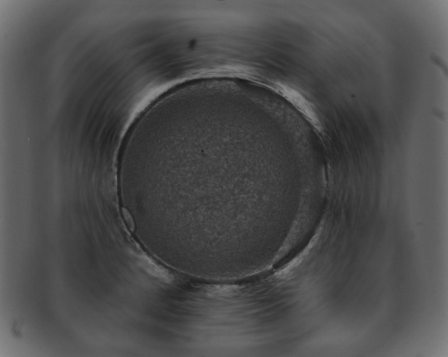 X0000093131184200709261341