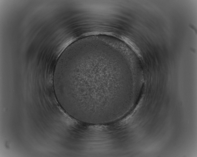 X0000093131185200709261341