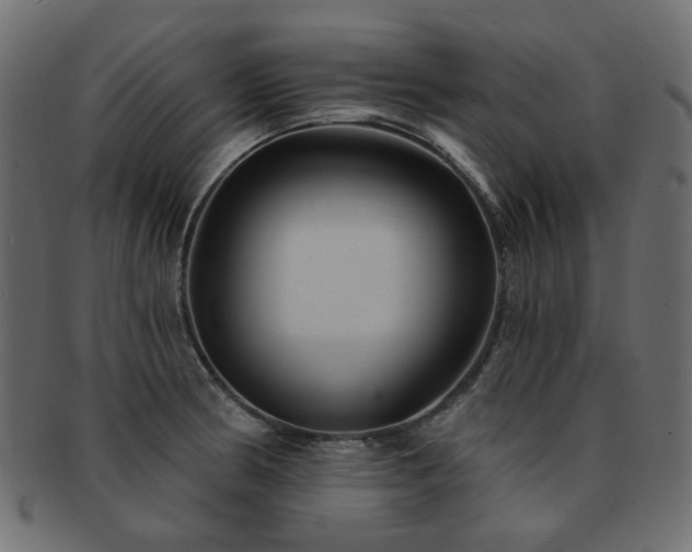 X0000093131186200709261341