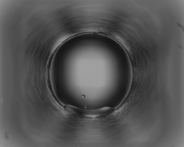 X0000093131187200709261341