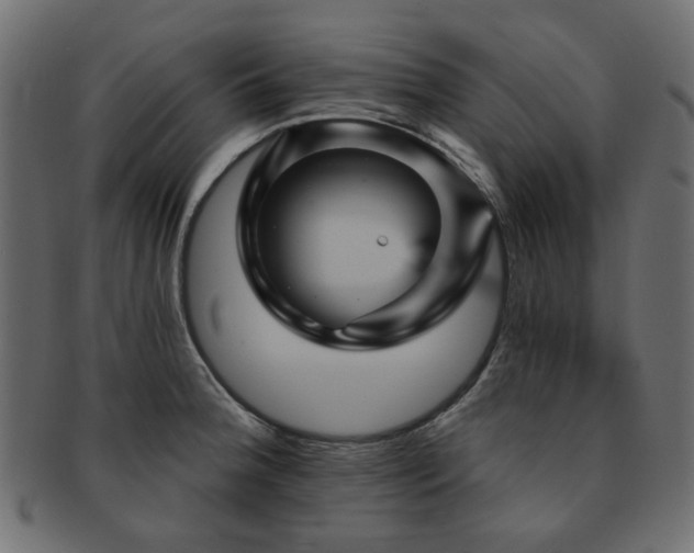 X0000093131188200709261341