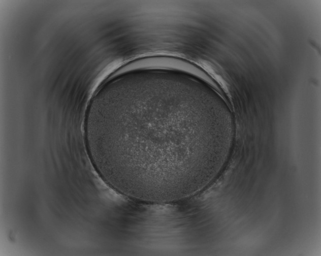 X0000093131189200709261341