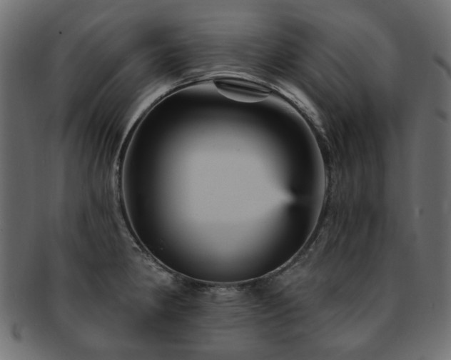 X0000093131190200709261341
