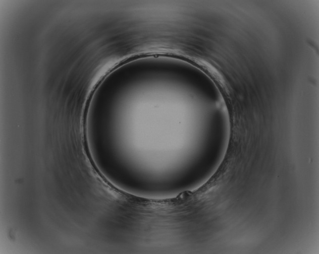 X0000093131191200709261341