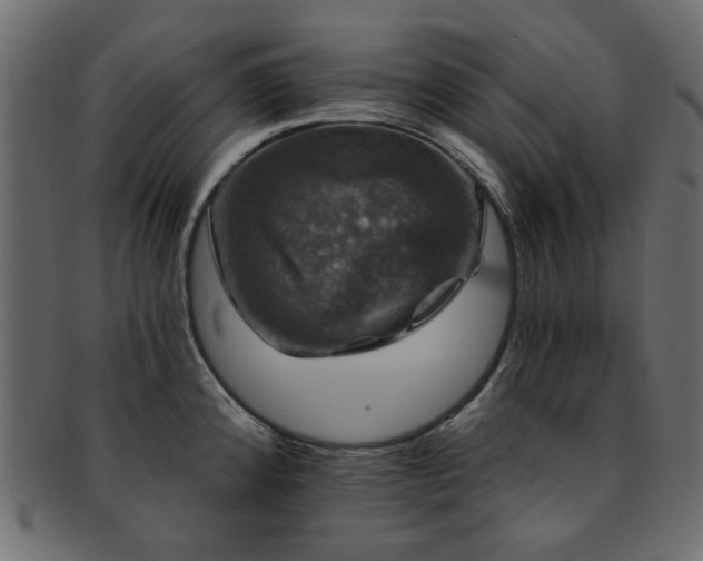 X0000093131192200709261341