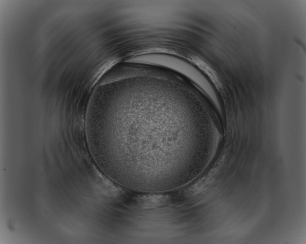 X0000093131193200709261341