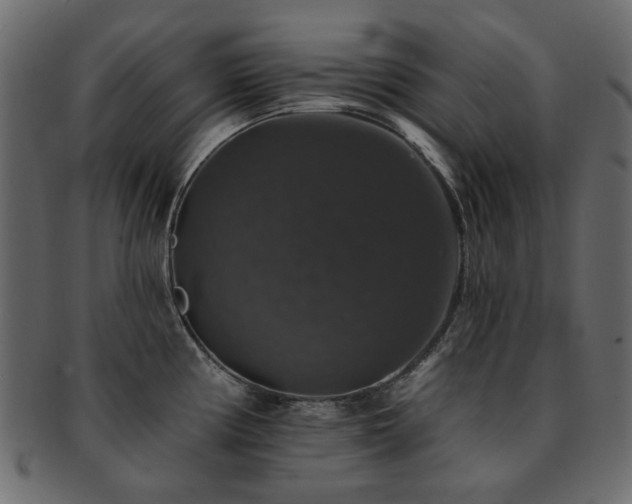 X0000093131194200709261341