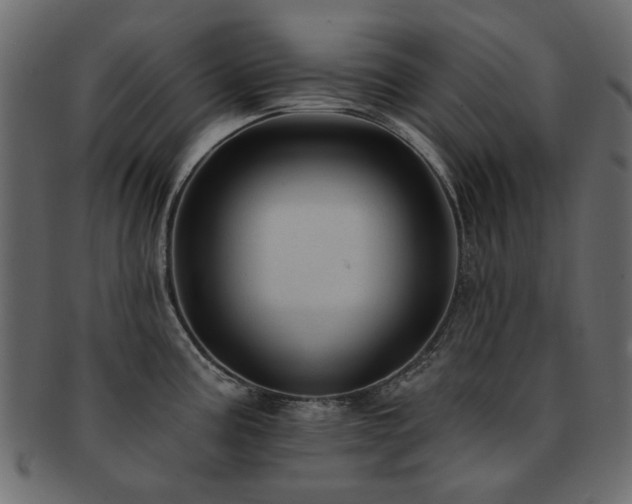 X0000093131195200709261341