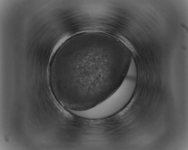 X0000093131196200709261341