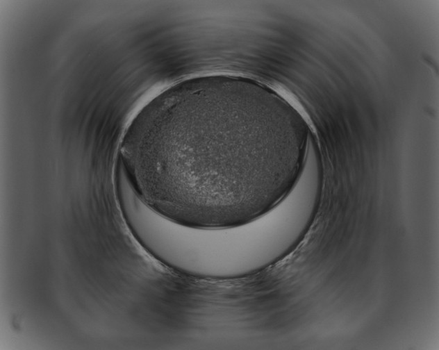 X0000093131197200709261341