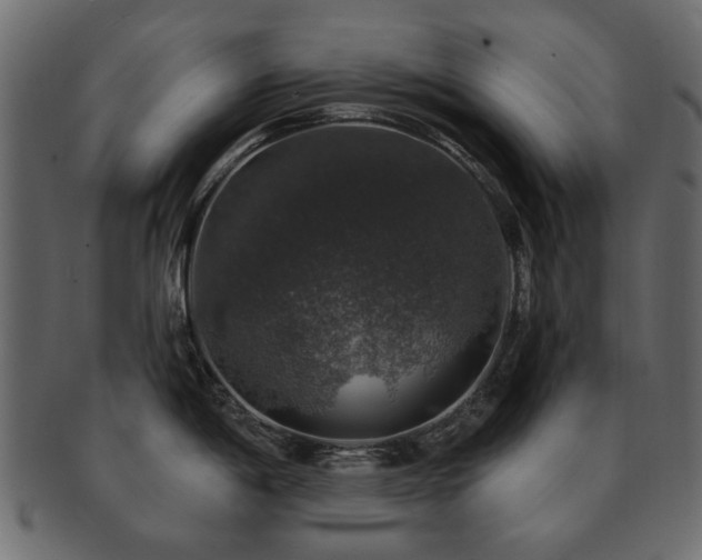 X0000093131198200709261341