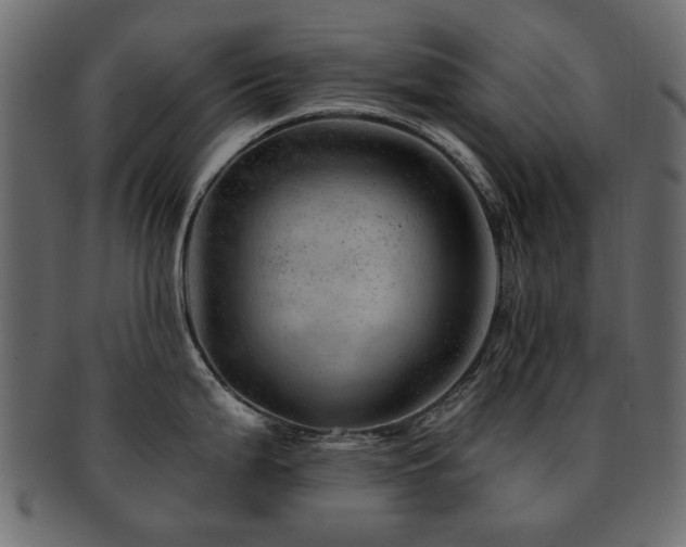 X0000093131199200709261341