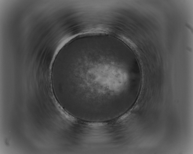 X0000093131200200709261341