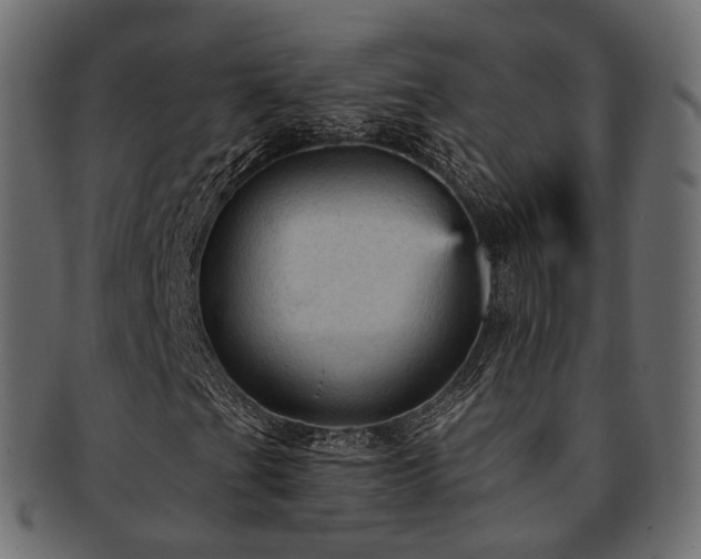 X0000093131201200709261341