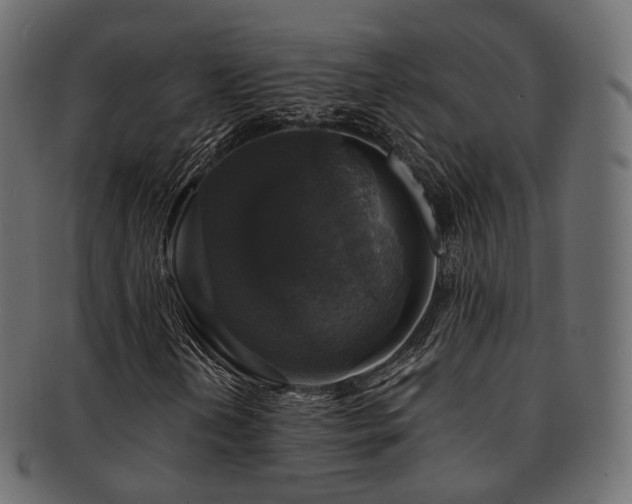 X0000093131202200709261341