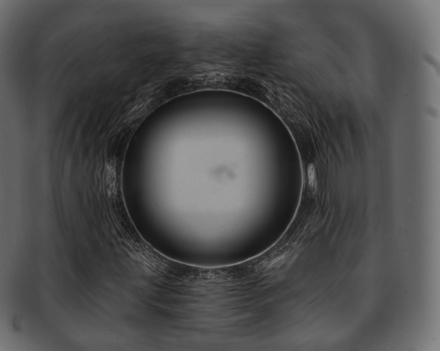 X0000093131203200709261341