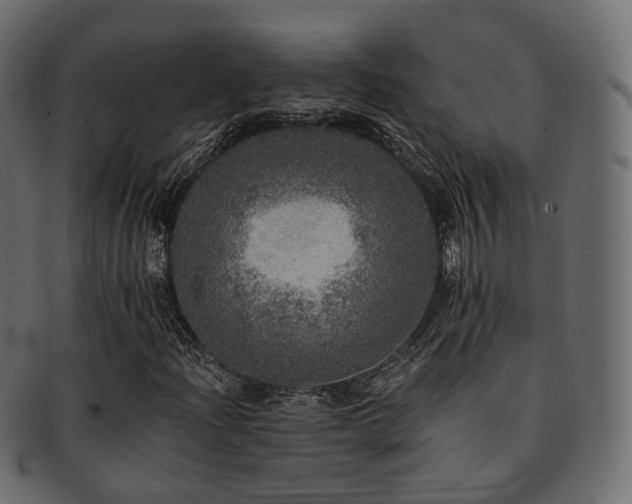 X0000093131204200709261341