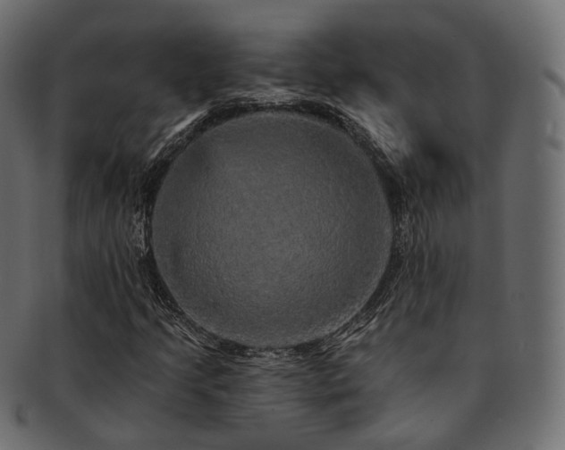 X0000093131205200709261341
