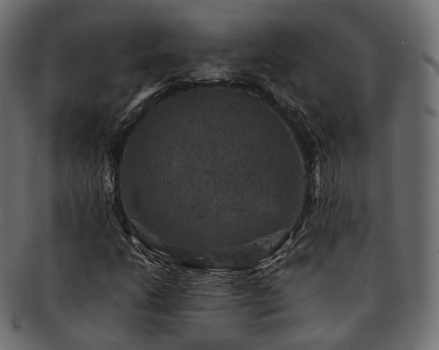 X0000093131206200709261341