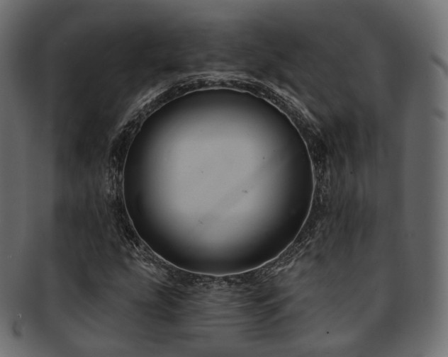 X0000093131207200709261341