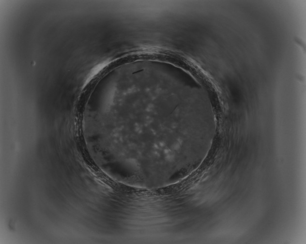 X0000093131208200709261341