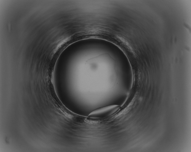 X0000093131210200709261341