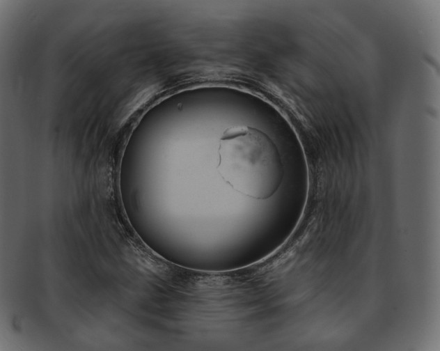 X0000093131211200709261341