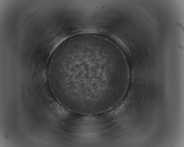 X0000093131212200709261341