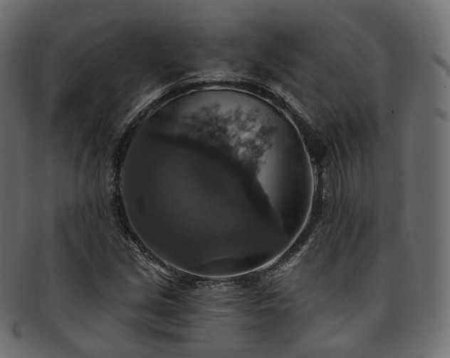 X0000093131213200709261341