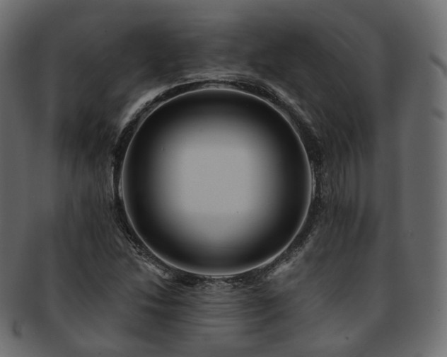 X0000093131214200709261341